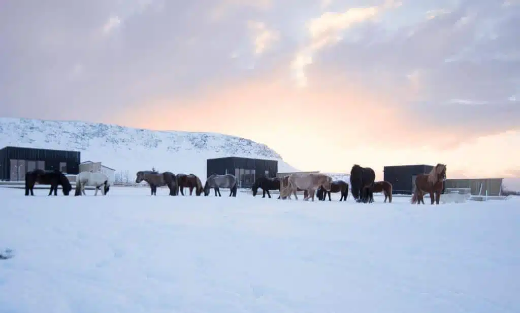 15 Best Places For Glamping In Iceland In 2025!