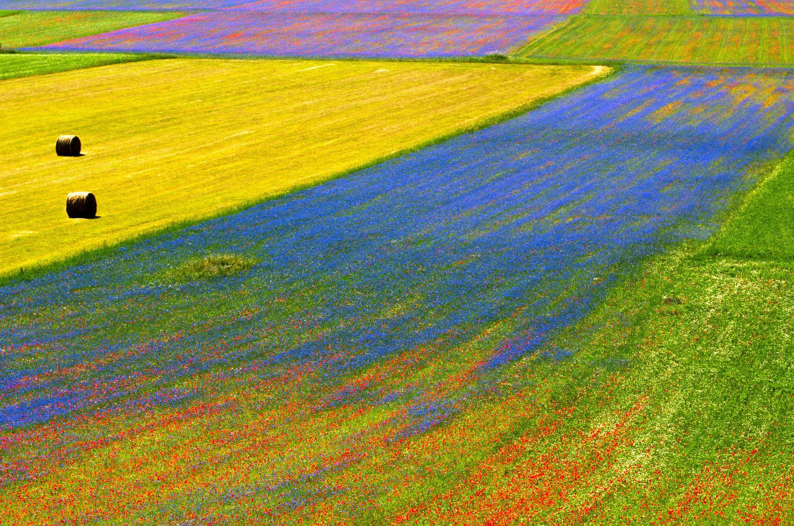 Castelluccio, PG, Italia