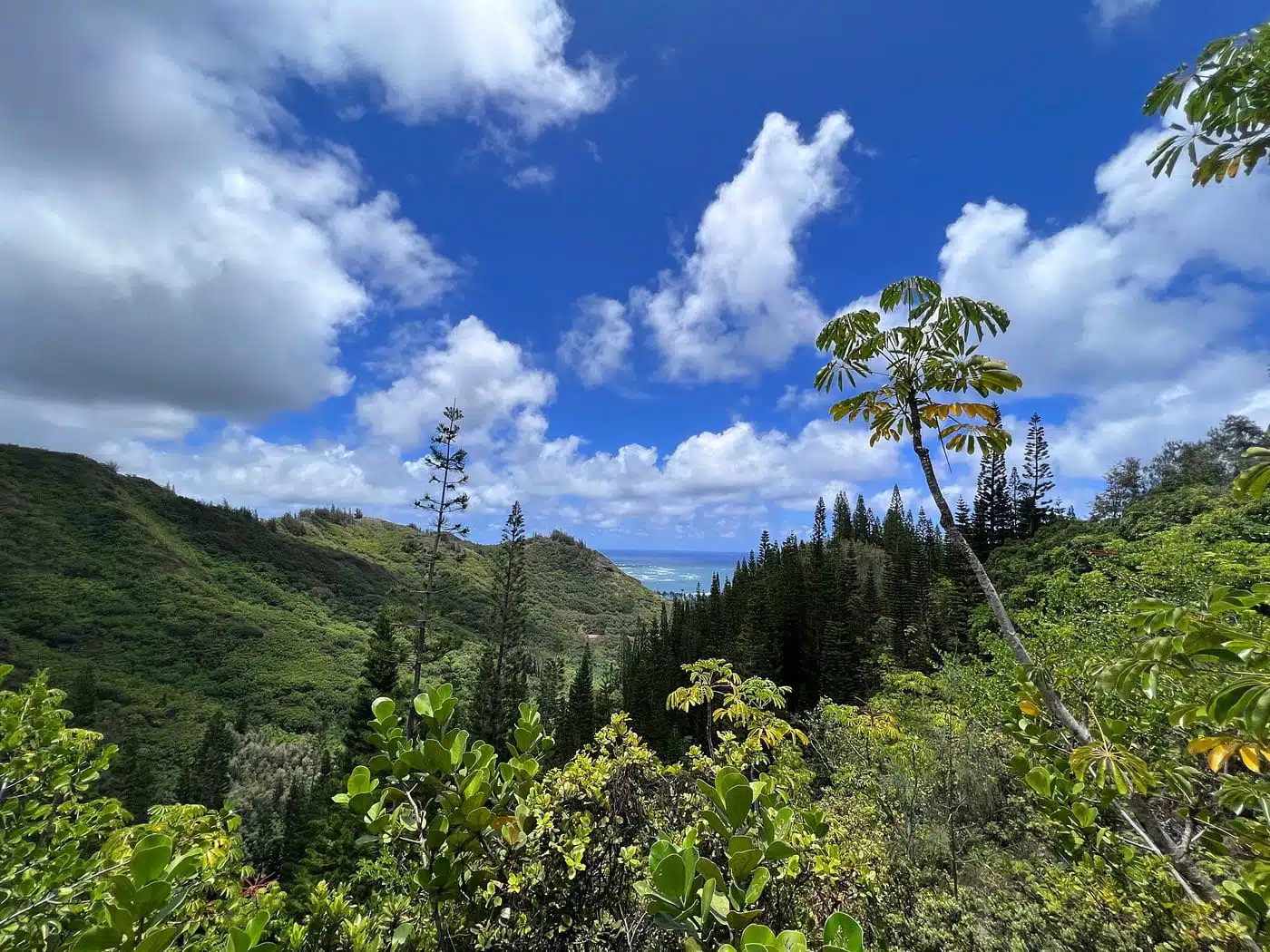 Hau'ula Loop Trail as part of the North Shore Oahu Hikes