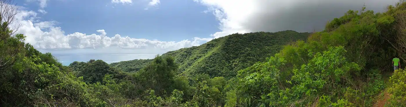 Ma'akua Ridge Trail