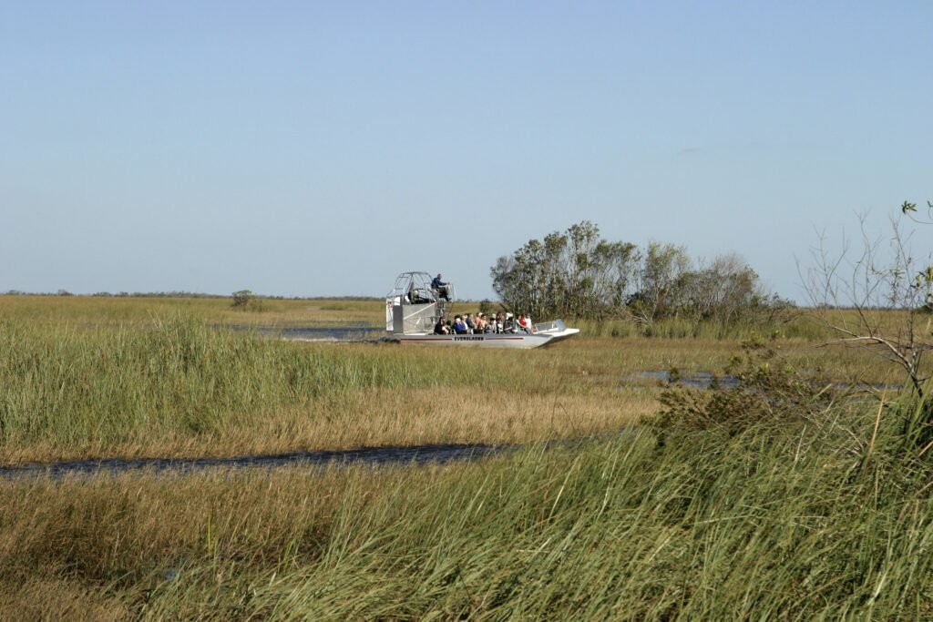 Airboat tour in the everglades
