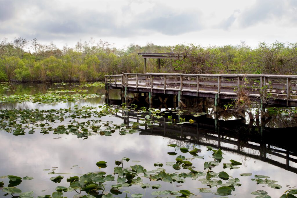 Anhinga Trail boardwalk