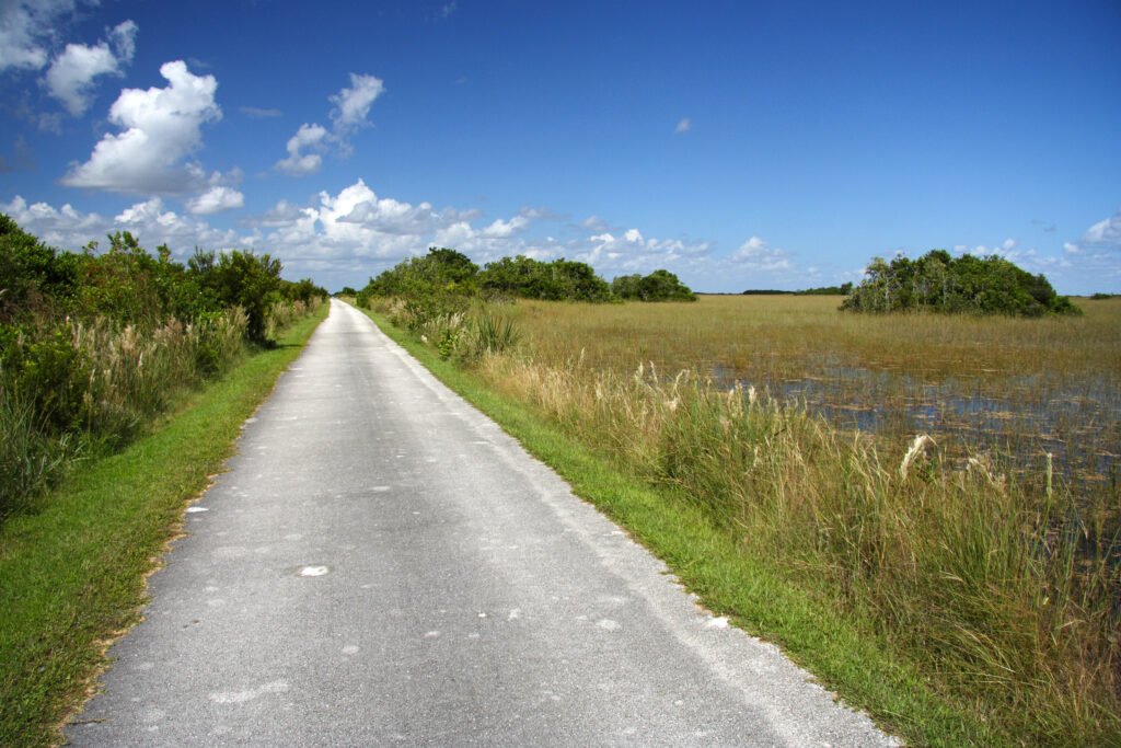 A biking road at the Francis S. Taylor Wildlife Management Area