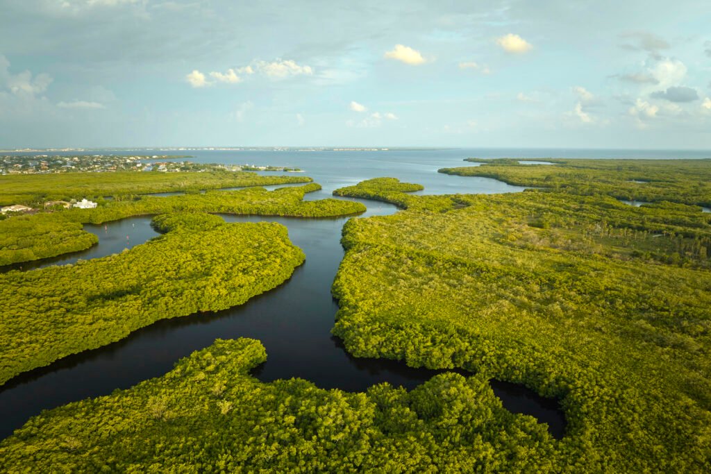 Overview of the Everglades national park