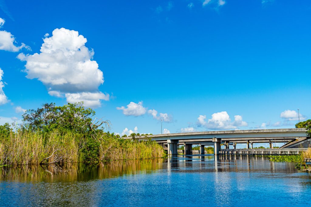 The Francis S. Taylor Wildlife Management Area