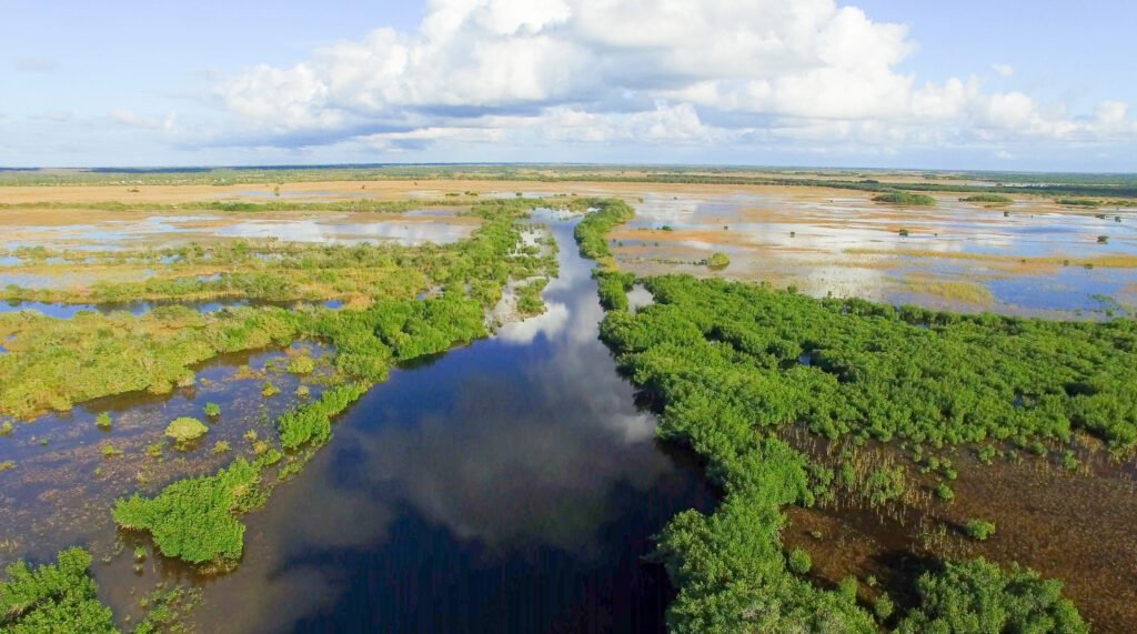 Overview of the Everglades