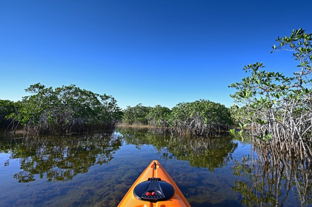 Orange kayak on Nine Mile Pond in Everglades National Park, Florida on sunny autumn afternoon amidst red mangroves trees.