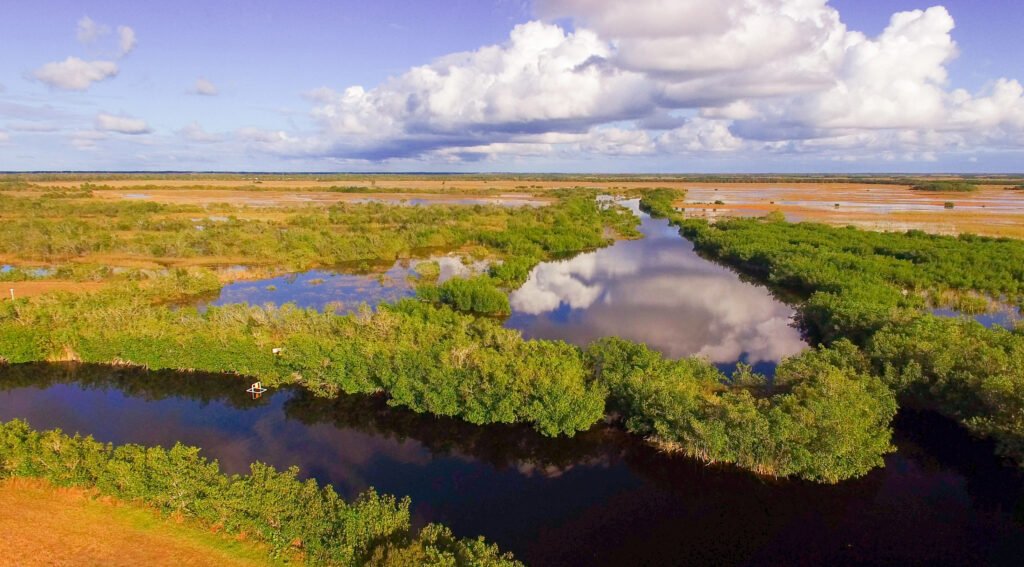 Scenic view over the Everglades in Florida