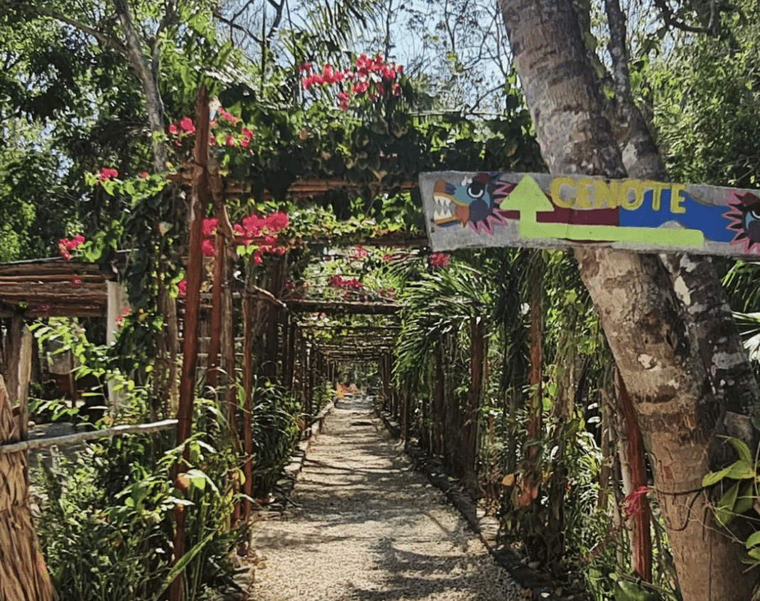 Entrance to the Cenote Calavera 