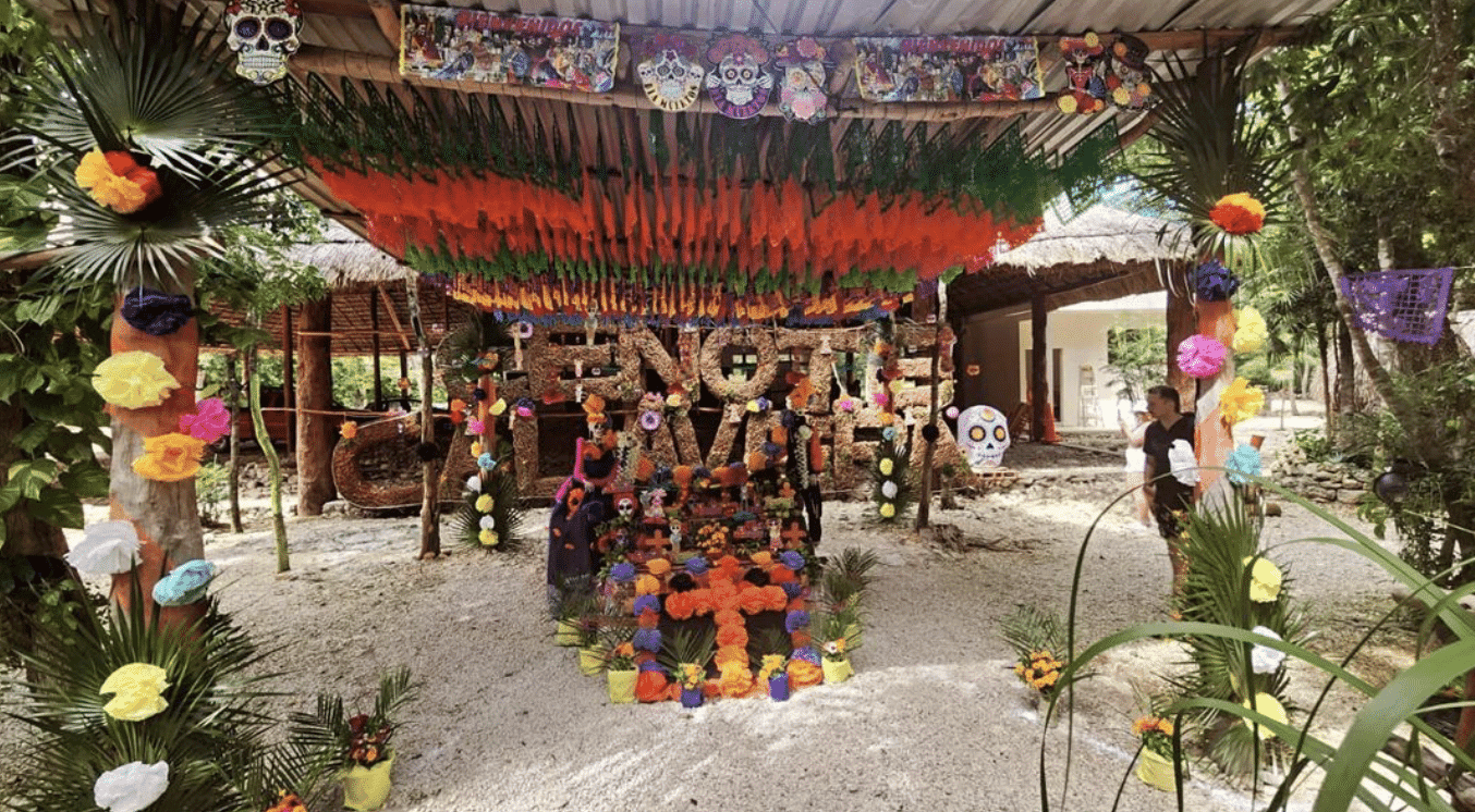 Bar at the cenote