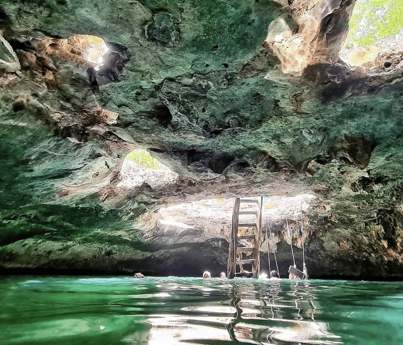 Cenote Calavera from inside the water