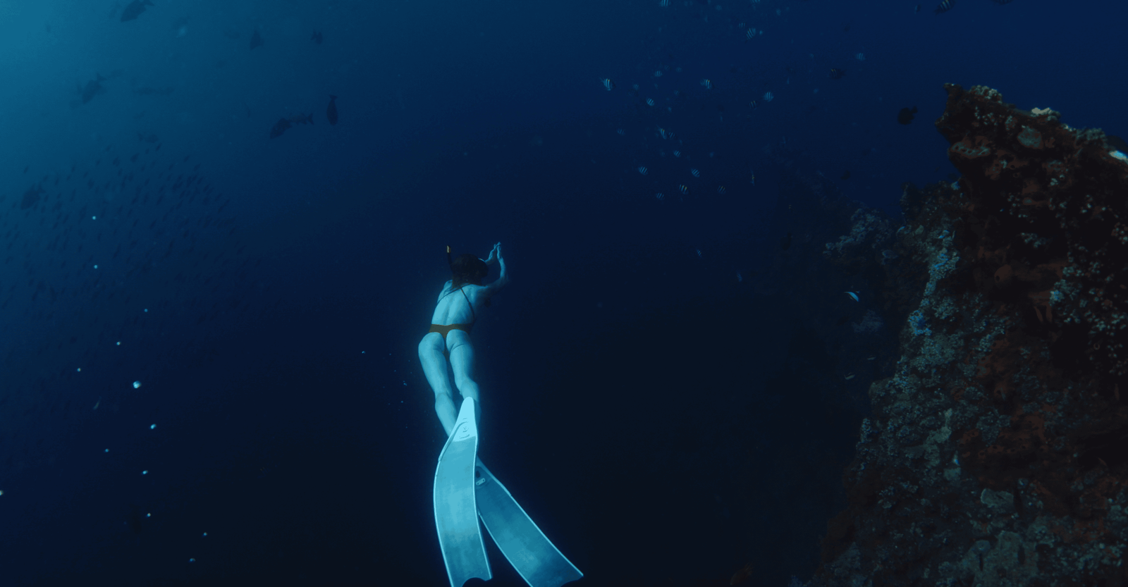 Woman Freediving on Deep in Tropical Ocean Near Wreckship in Tulamben Bali