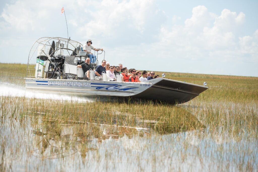 Boatride in the everglades