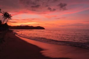 Sayulita Beaches: 2026 Guide to Riviera Nayarit’s Best Spots