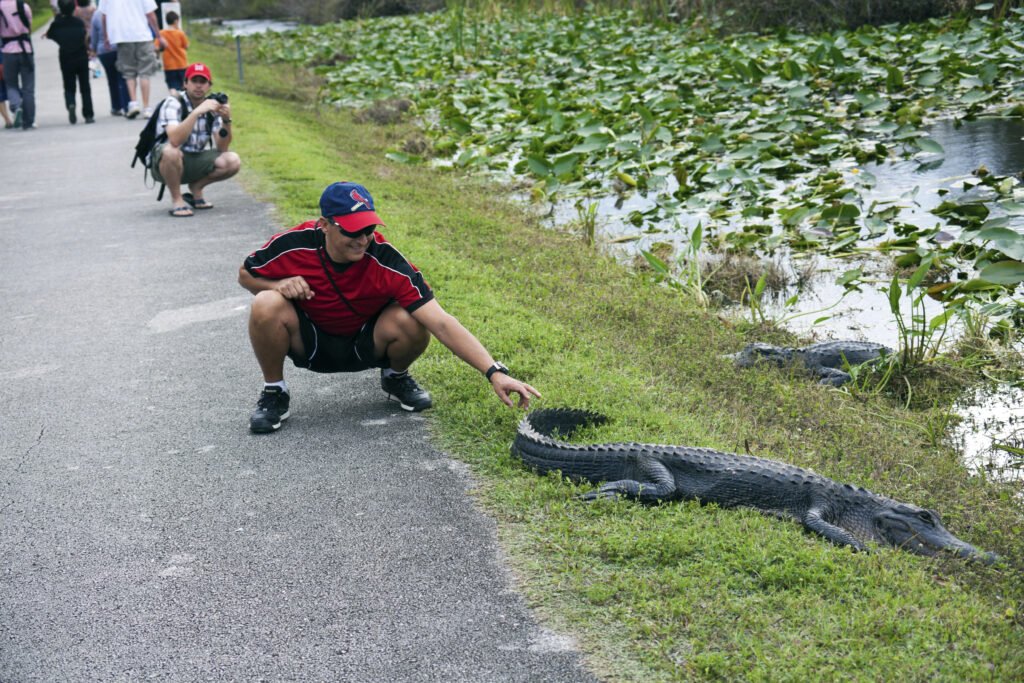 Encounter during the Shark Valley Loop