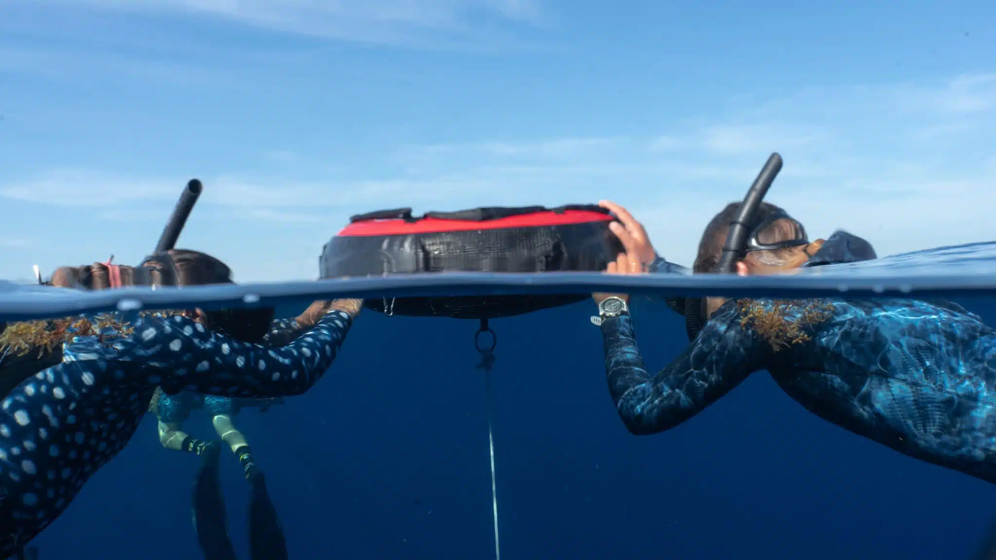 Freediving Course with Live Free Diving 