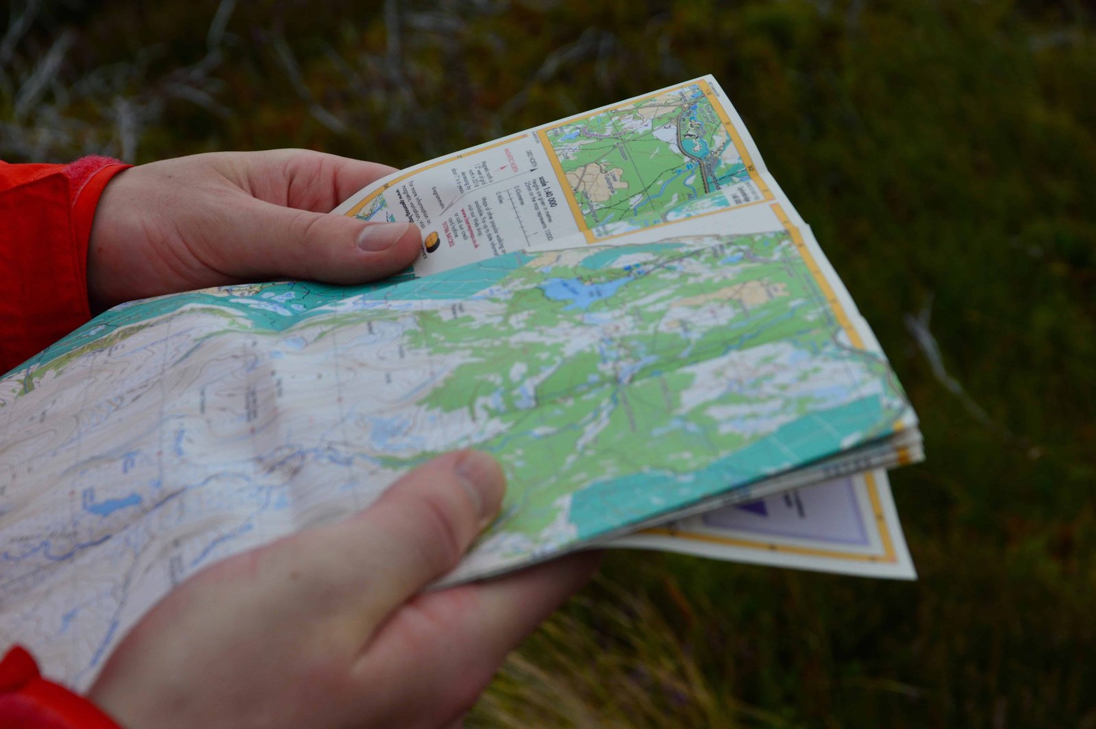 Navigation of a map