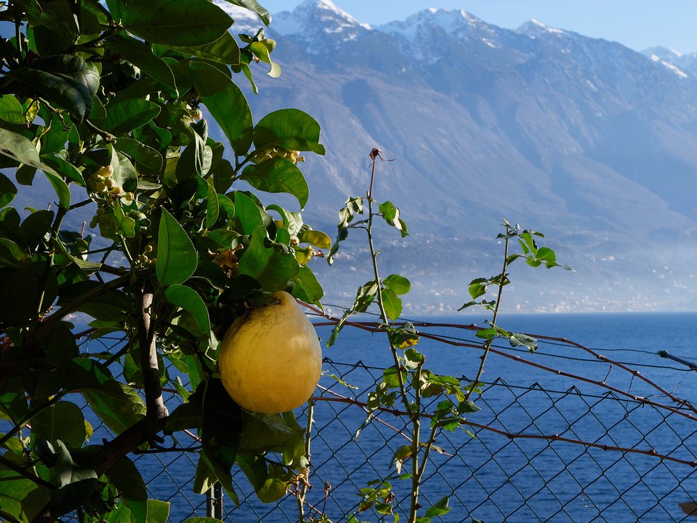 Limone sul Garda Guide: Things to Do, Food & Itinerary 1 Limone sul garda view on lake garda