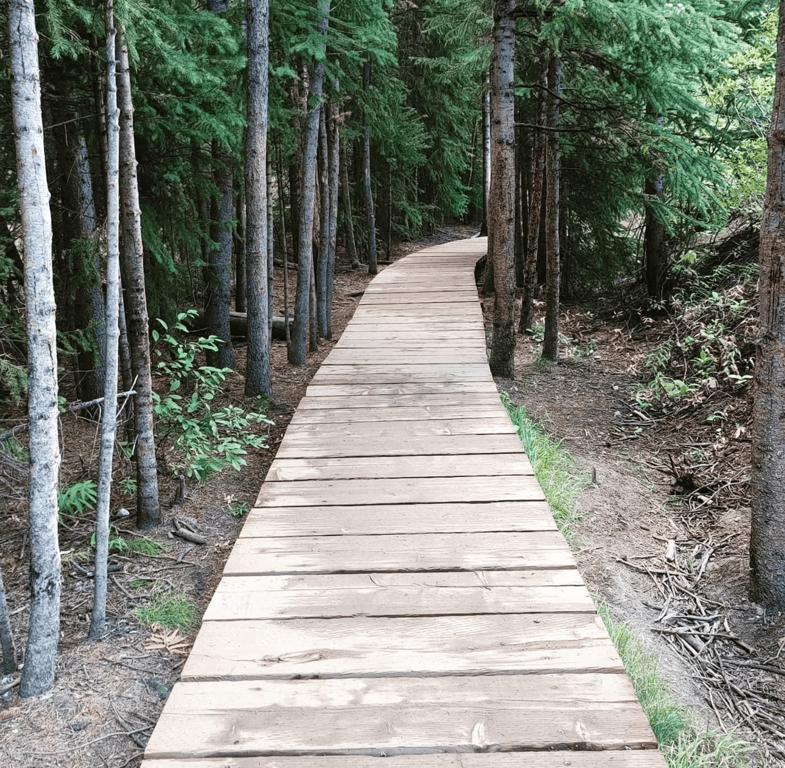 Path that leads to Breckenridge Troll