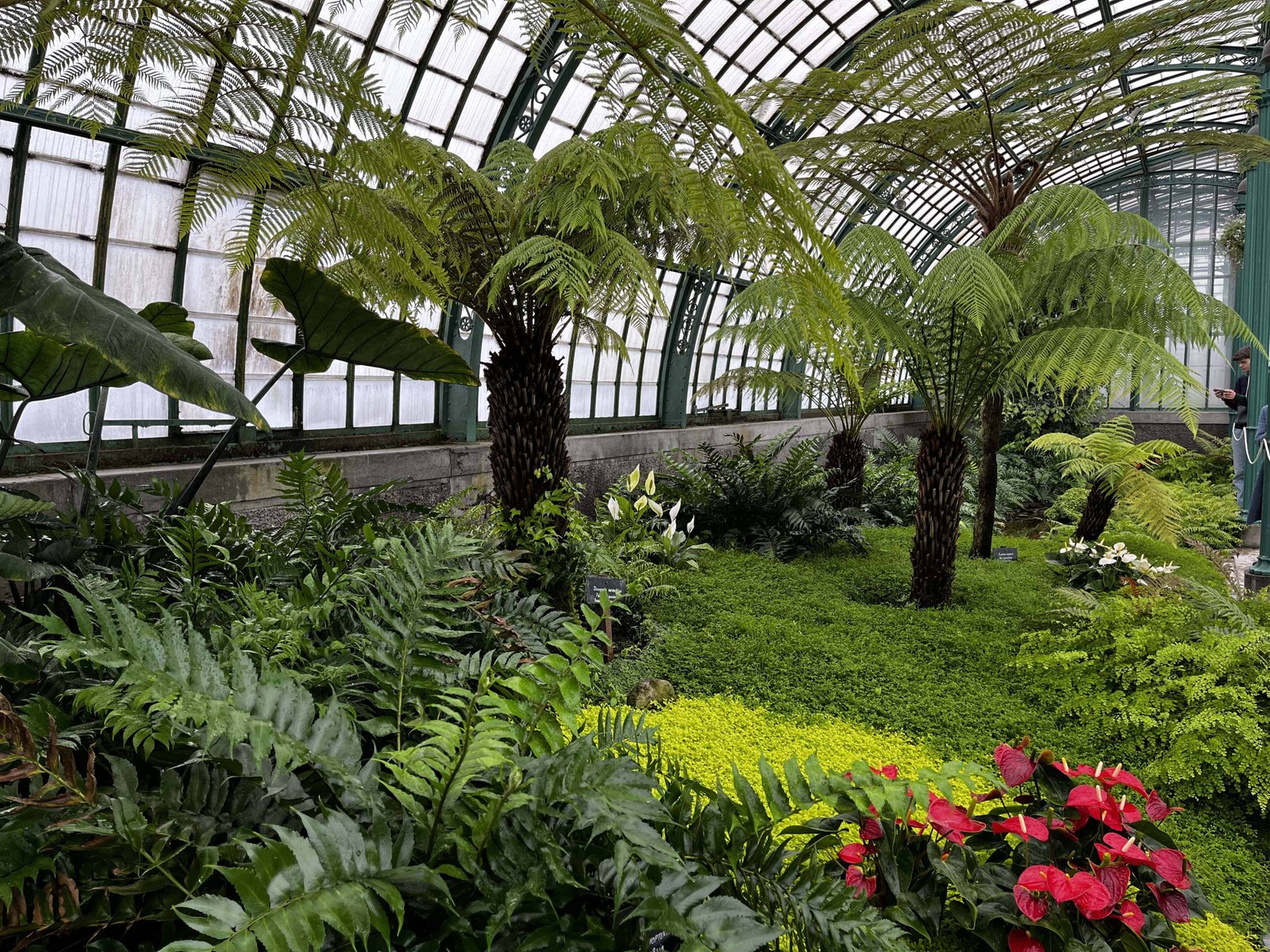 Royal Greenhouses