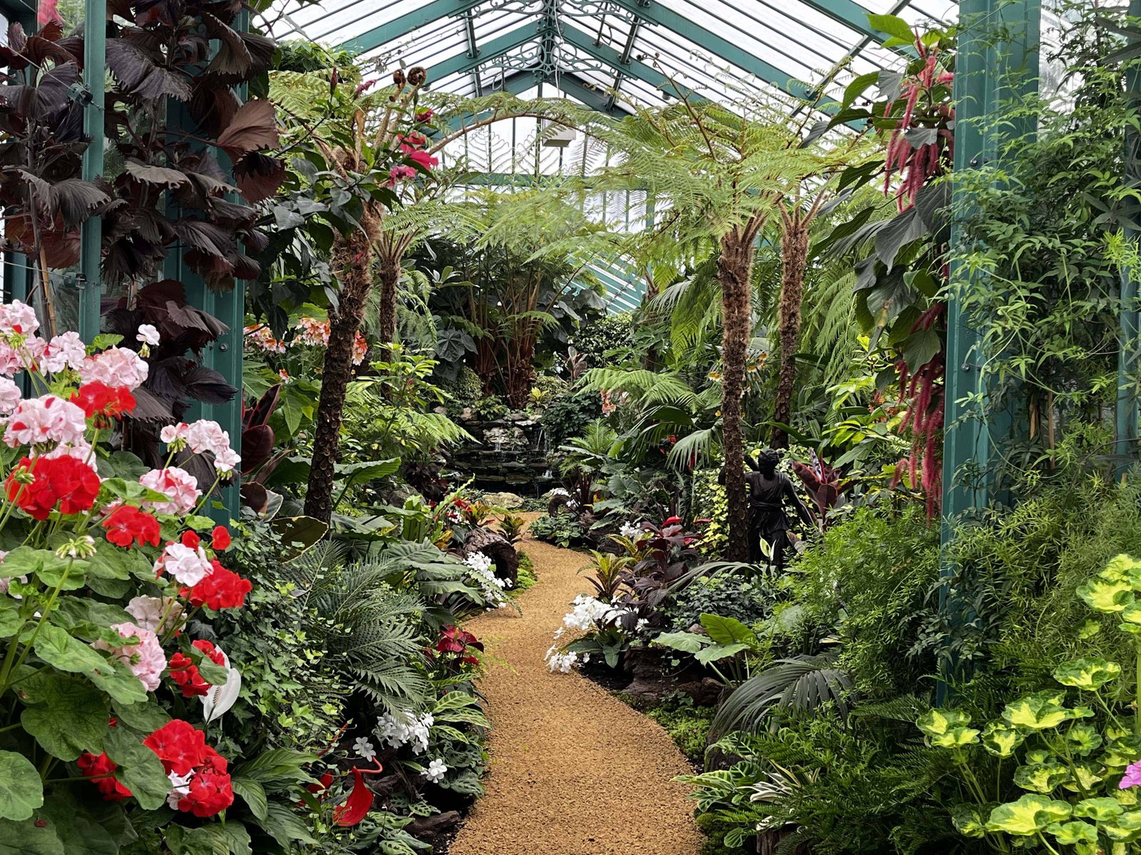 Walking among the many different plants. 