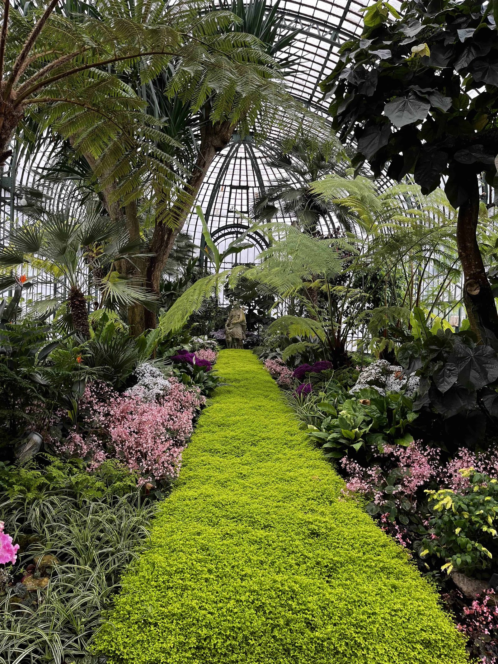 Beautiful nature at the Royal Greenhouses 