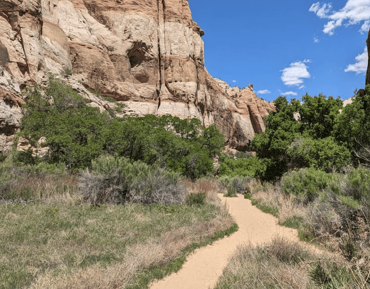 Trail towards the Lower Calf Creek Falls