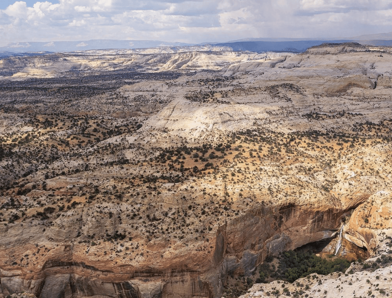 Calf Creek