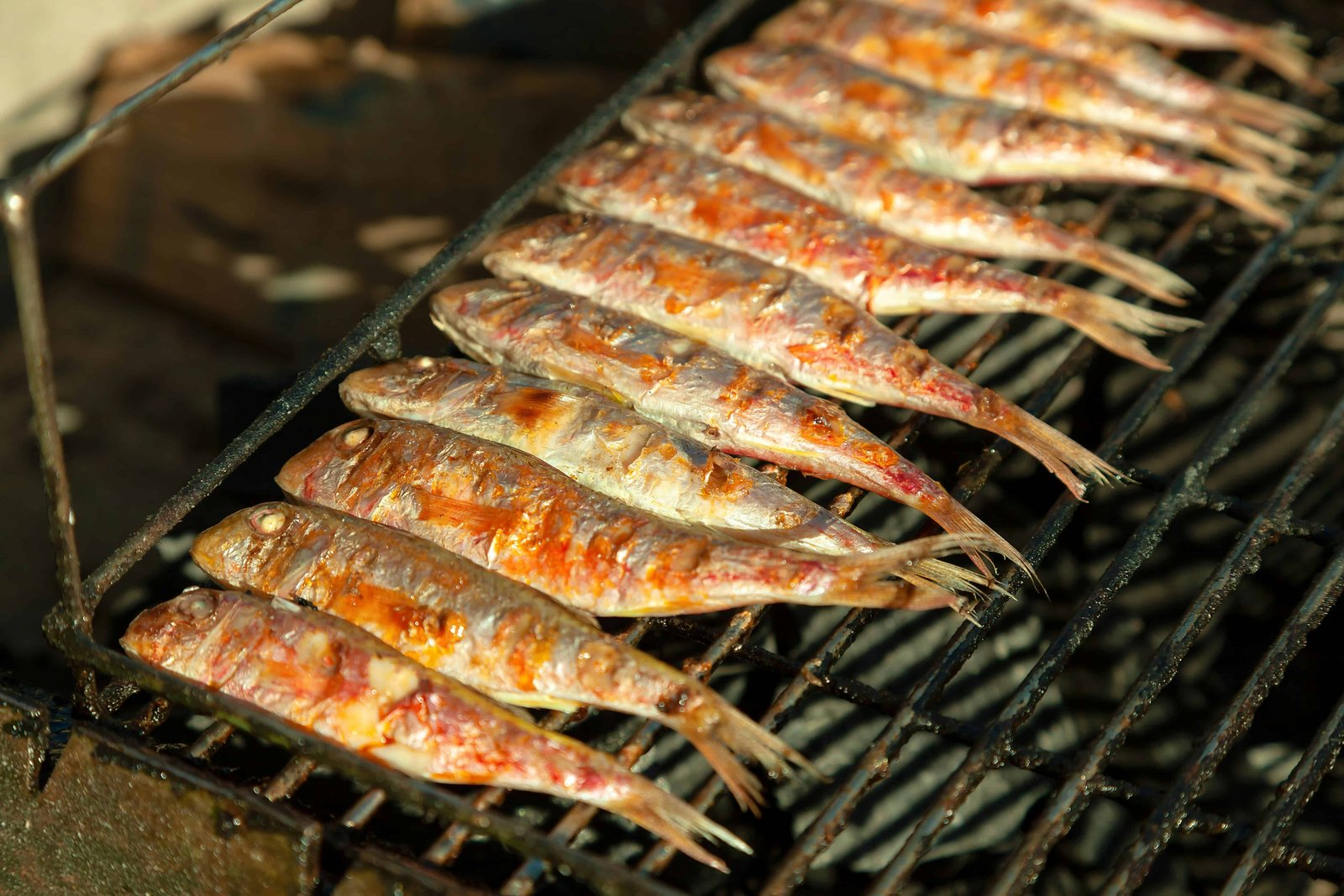 Grilled Sardines