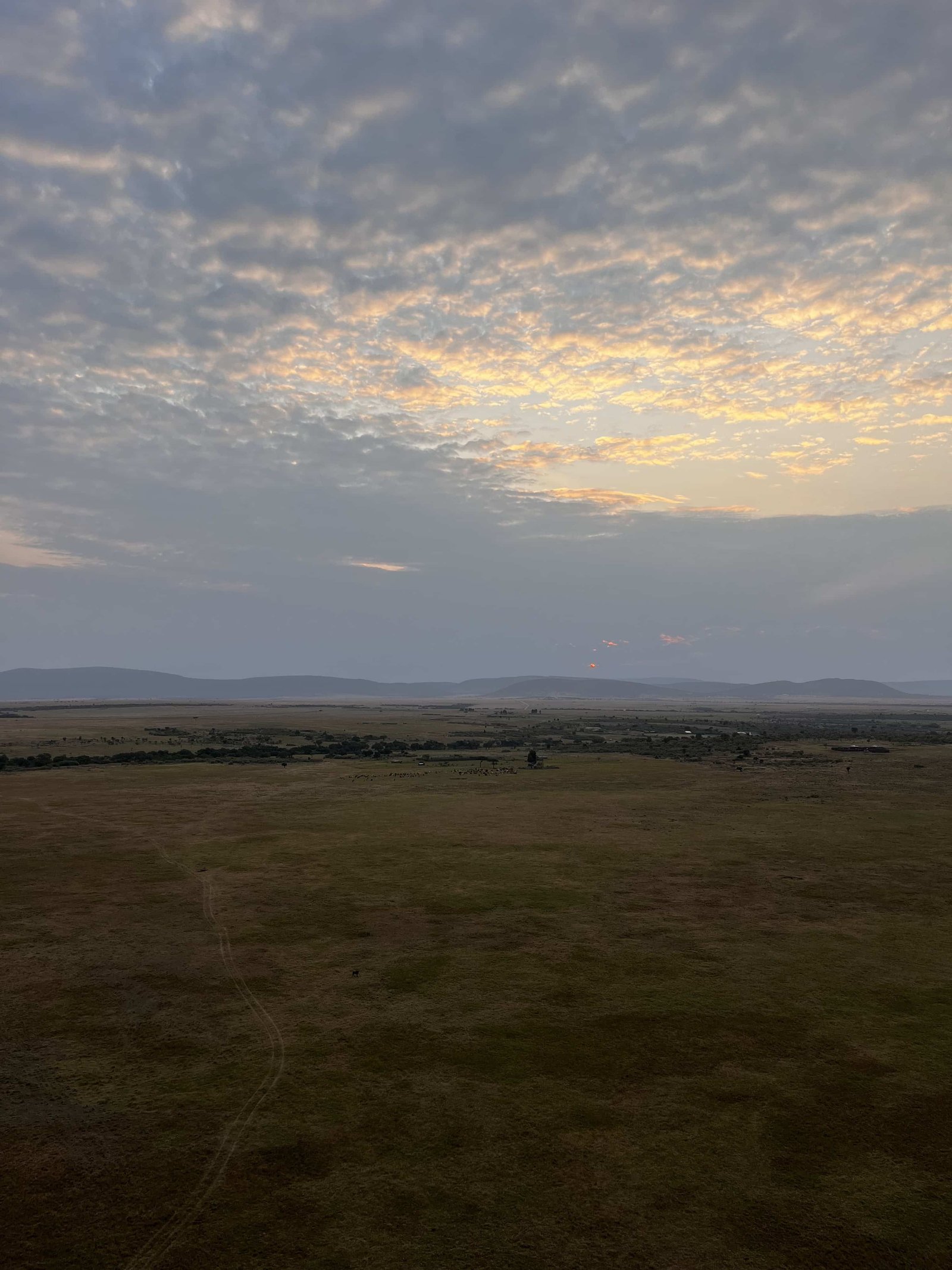 High above the Maasai Mara plains