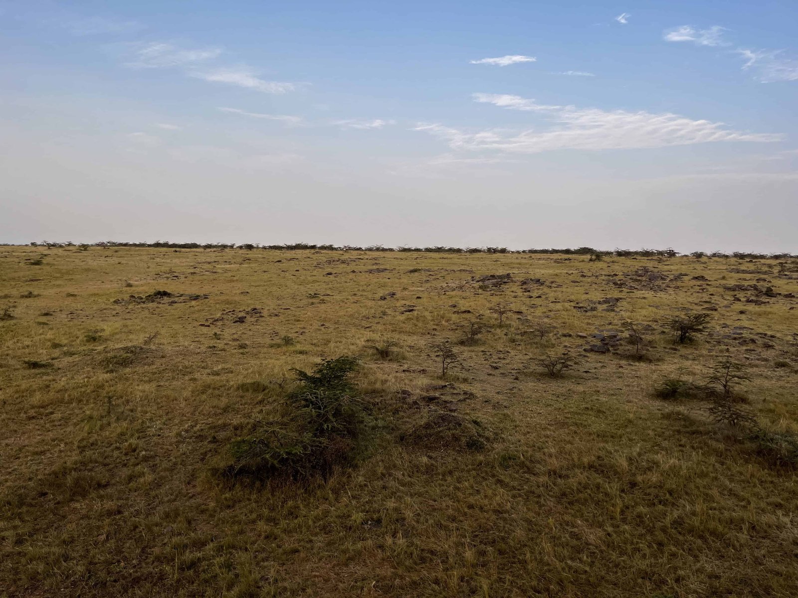 View from the hot air balloon