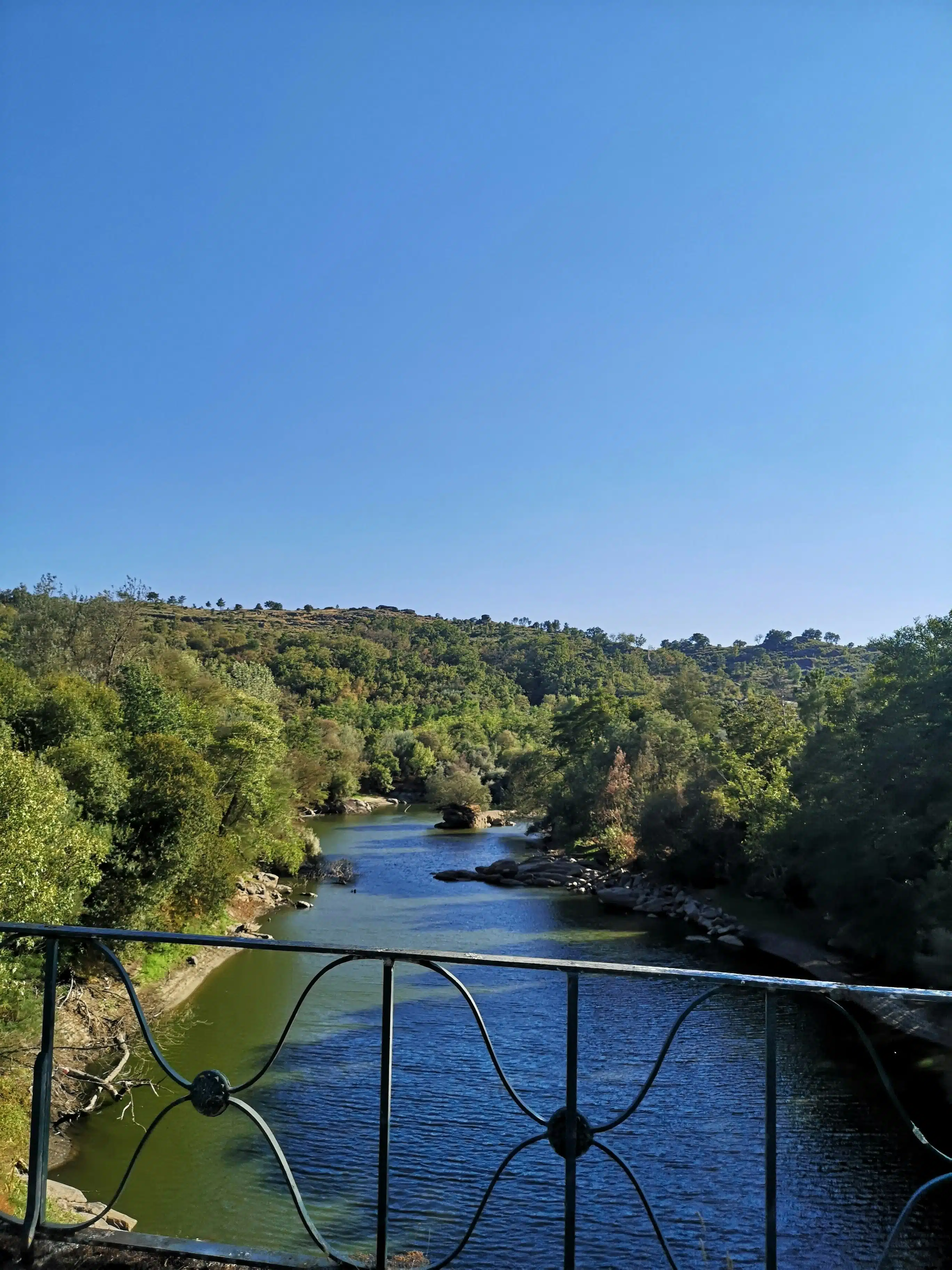 Malgo Rivers Mondego River In Portugal: What Activities Should You Do?