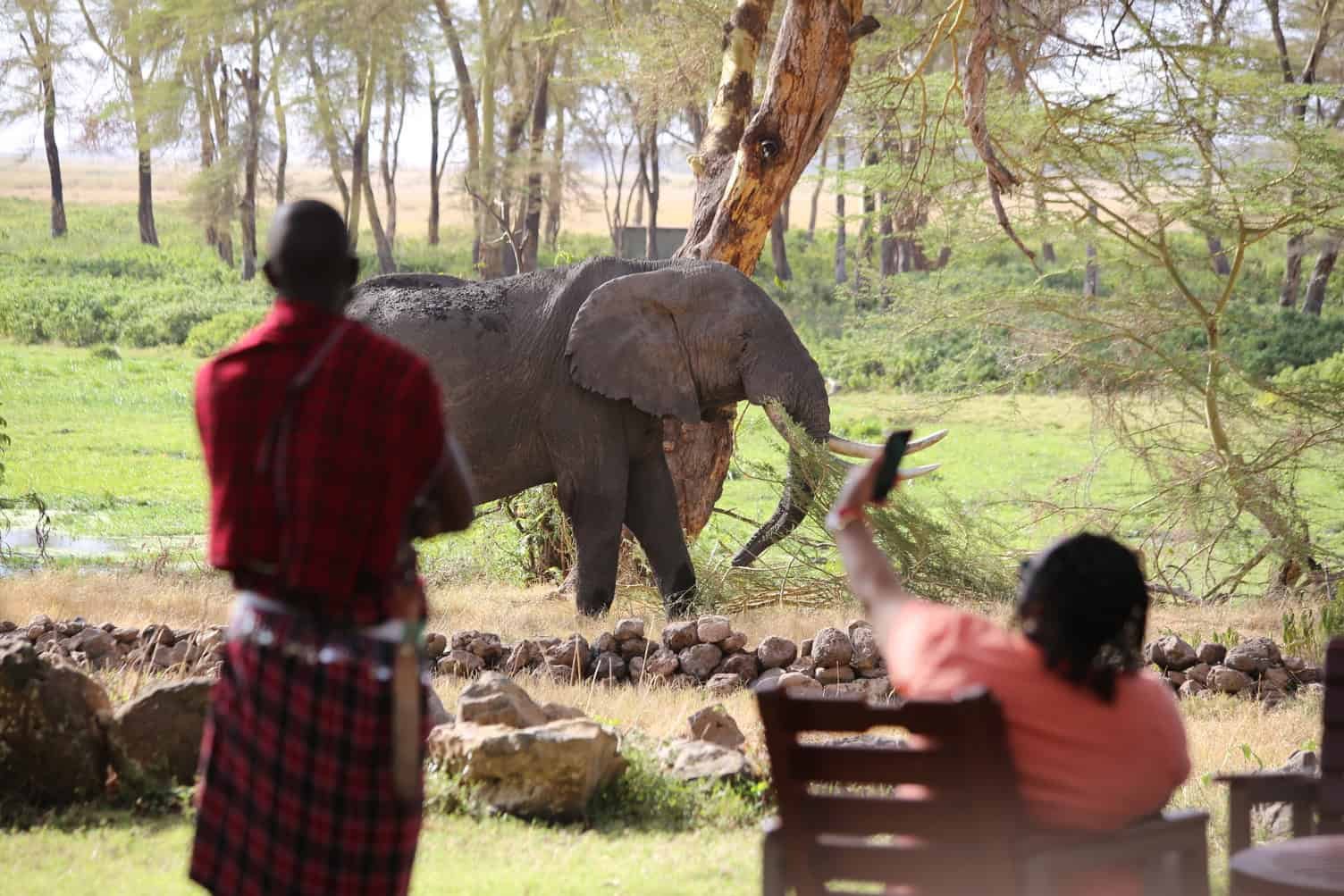 Amboseli Serena Safari Lodge. Waterhole in front of the hotel patio.