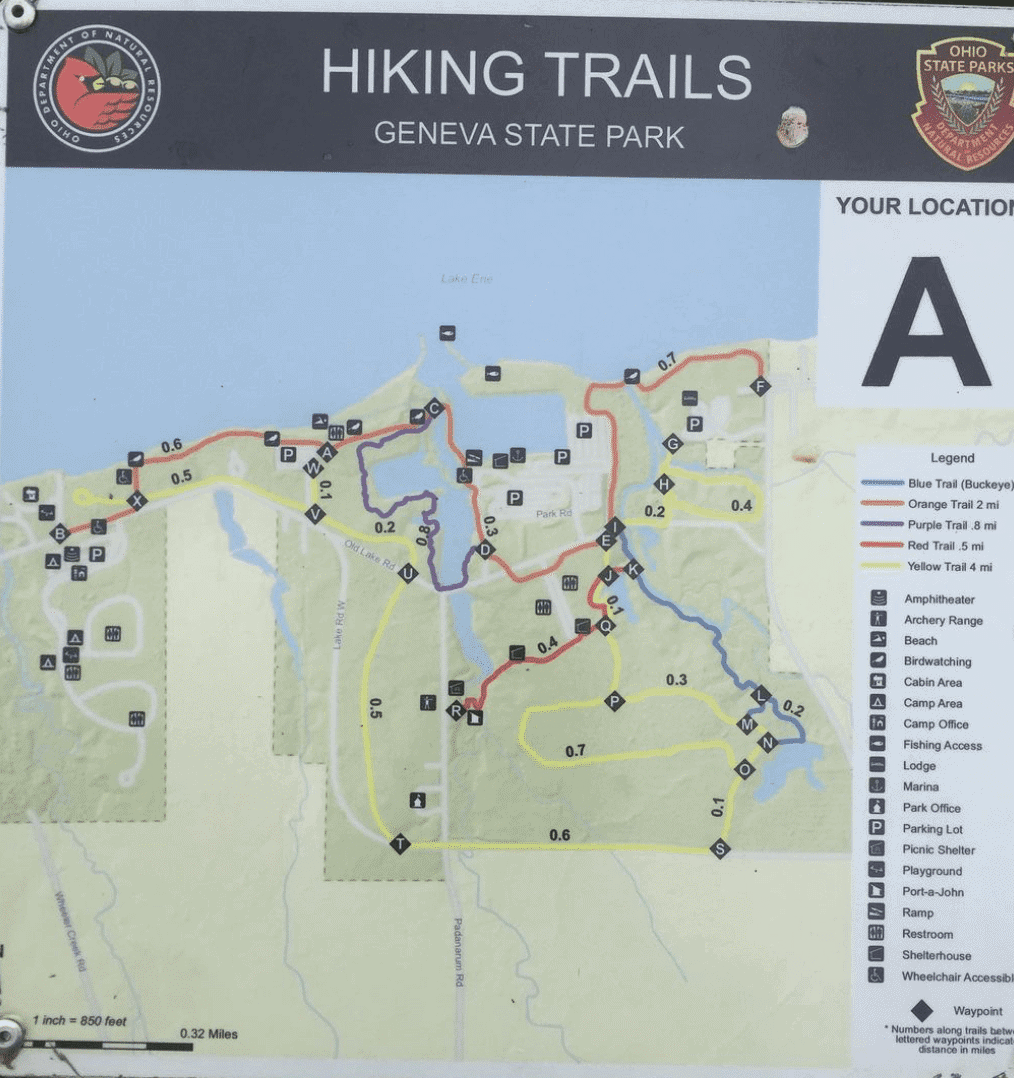 Hiking trails in the state park