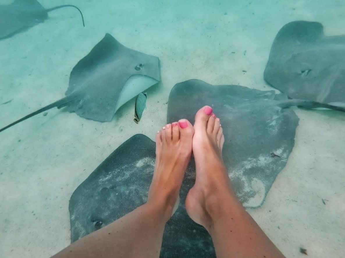 stingrays below. 