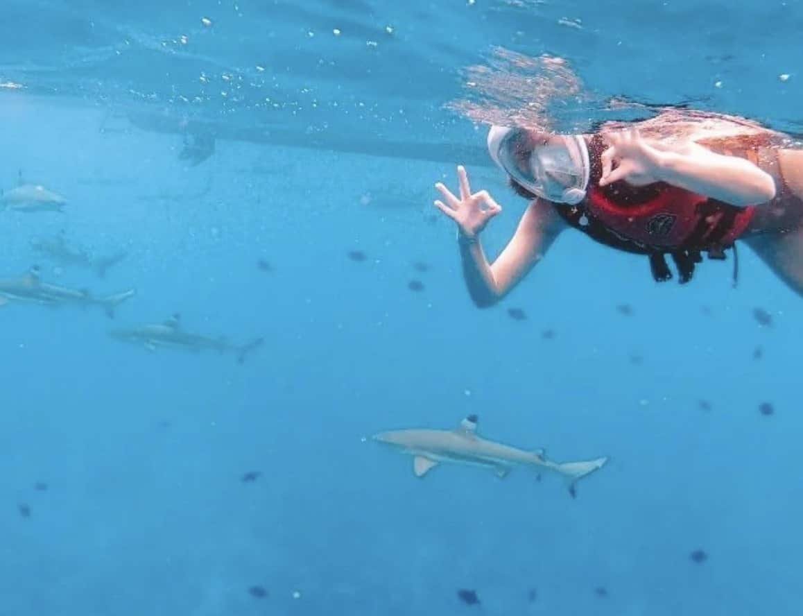 Bora Bora snorkeling