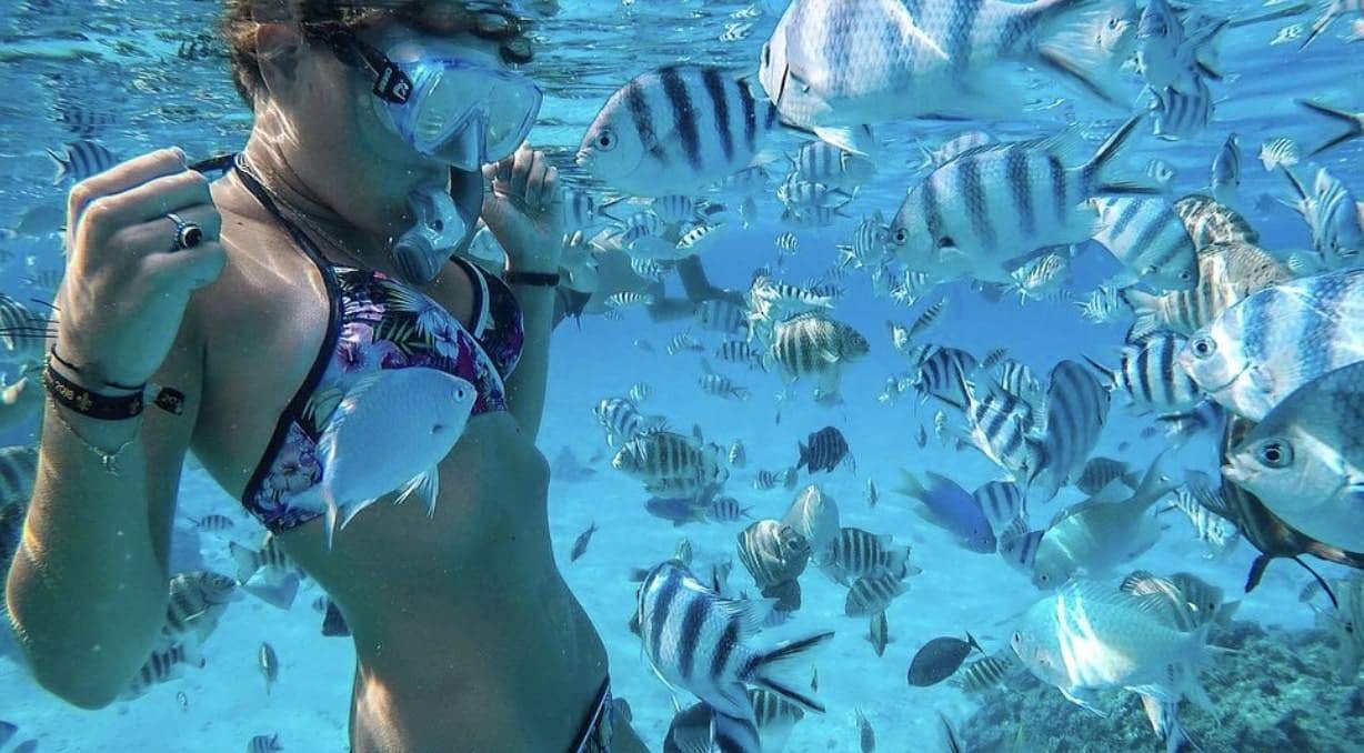 Coral Garden