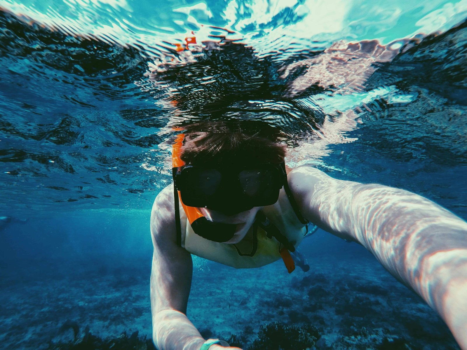 Bora Bora Snorkeling