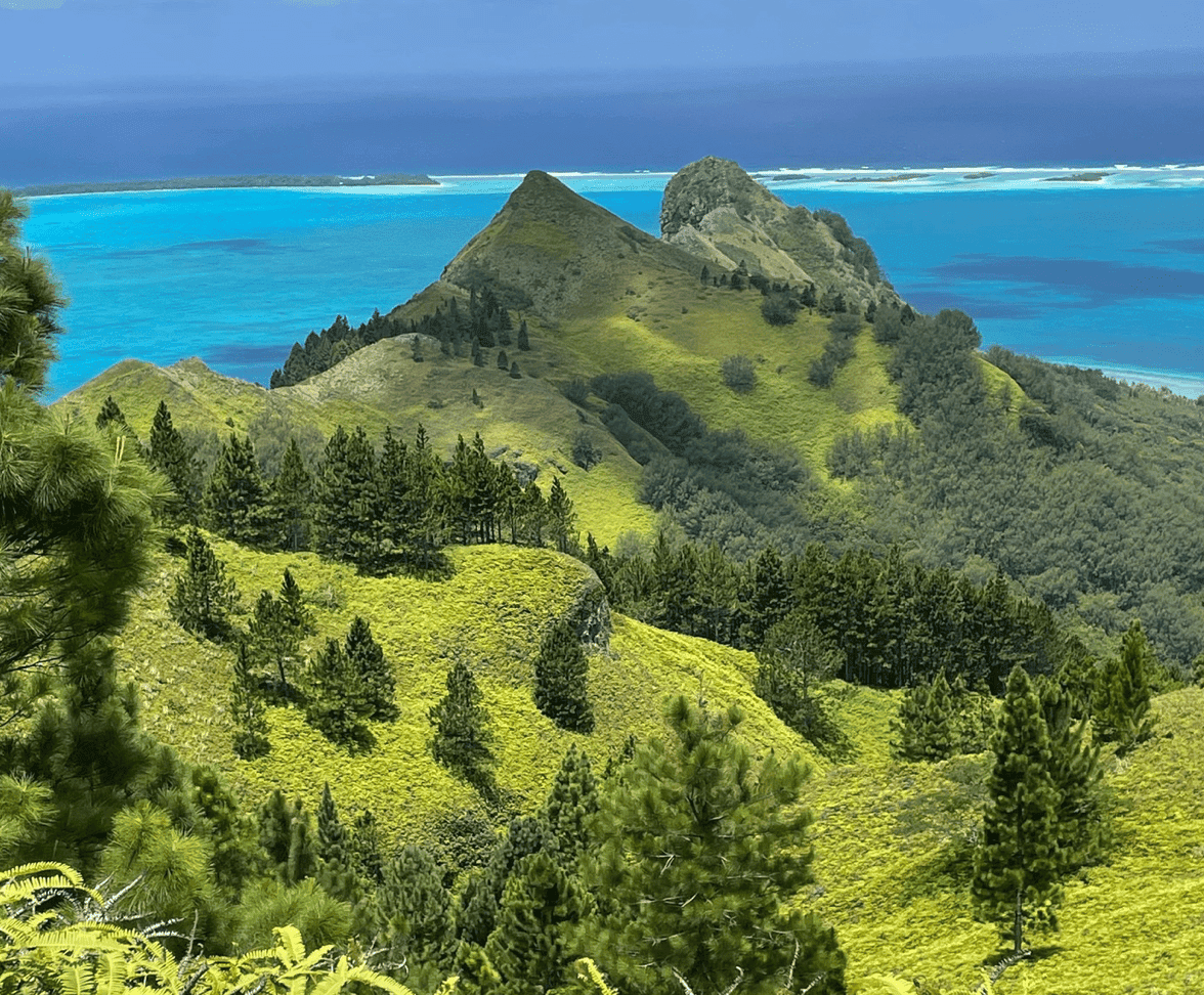 Raivavae French Polynesia: Your ULTIMATE Travel Guide for 2026! 13 Raivavae nature