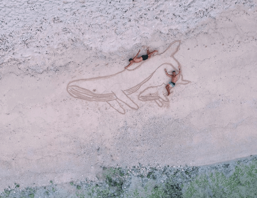 Rurutu French Polynesia: All You Need To Know for 2026 14 Whale watching in Rurutu