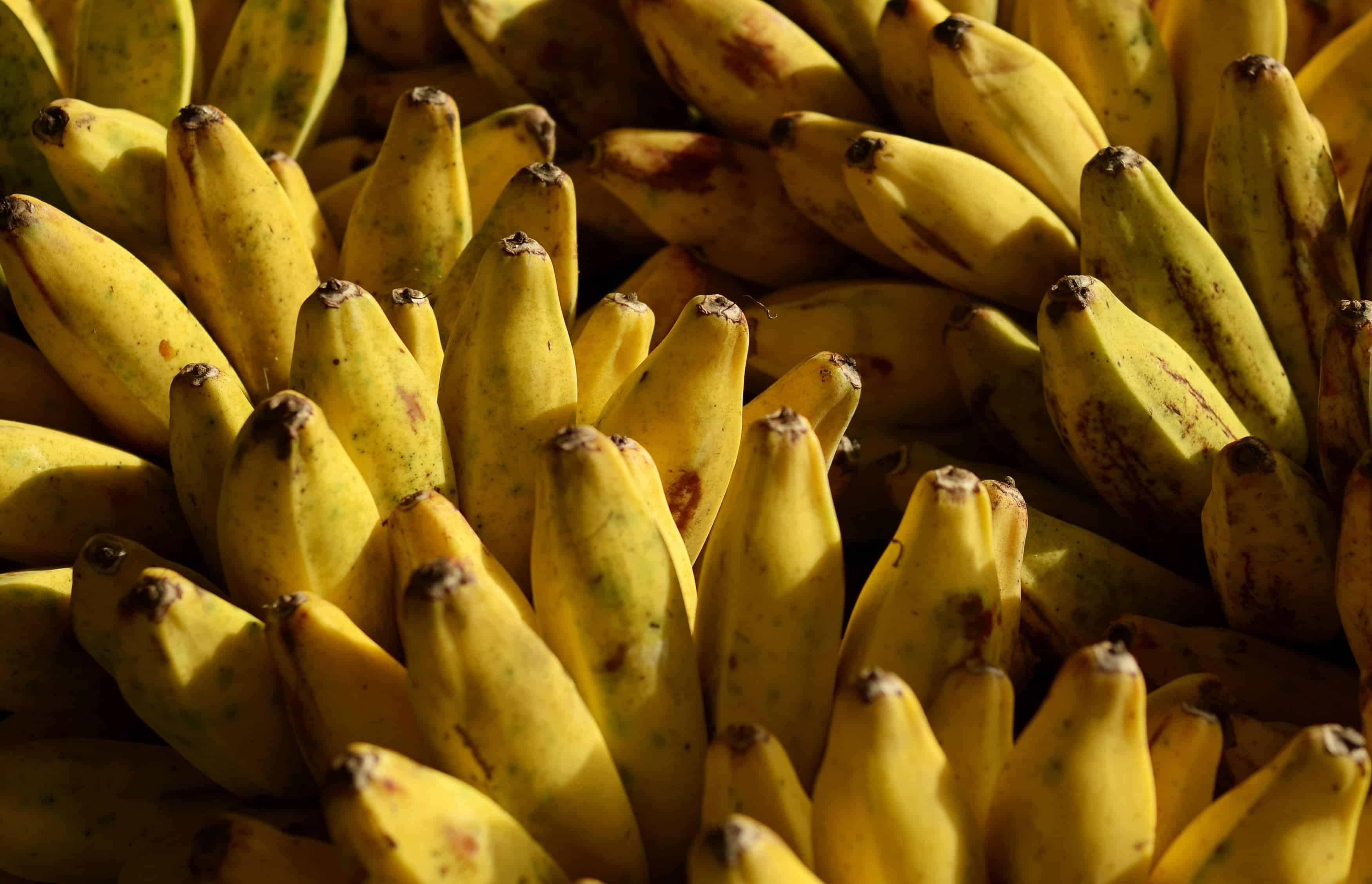 Tahitian Cuisine: What to Expect in 2026 (+FAQ)? 17 Bananas