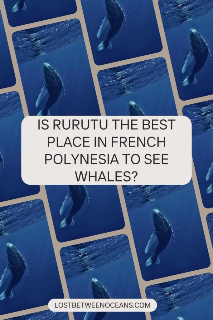 Rurutu French Polynesia: All You Need To Know for 2026 2 Pinterest picture from Lost Between Oceans