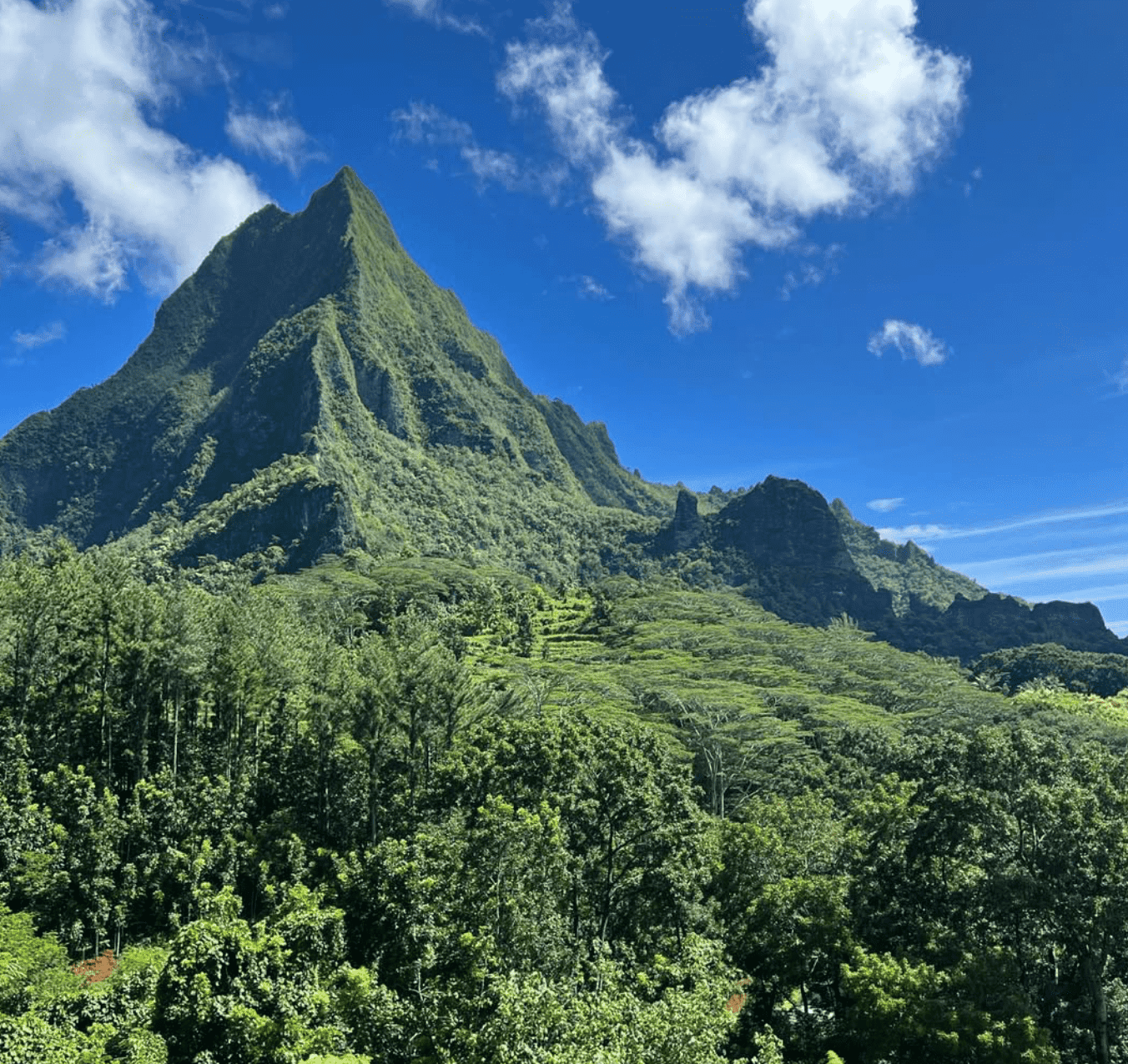 Mount Rotui in Moorea