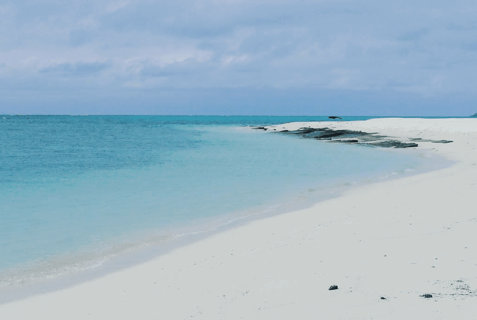 Motu One: All You Need To Know for 2026 (Society Islands) 7 Motu One beachwalk