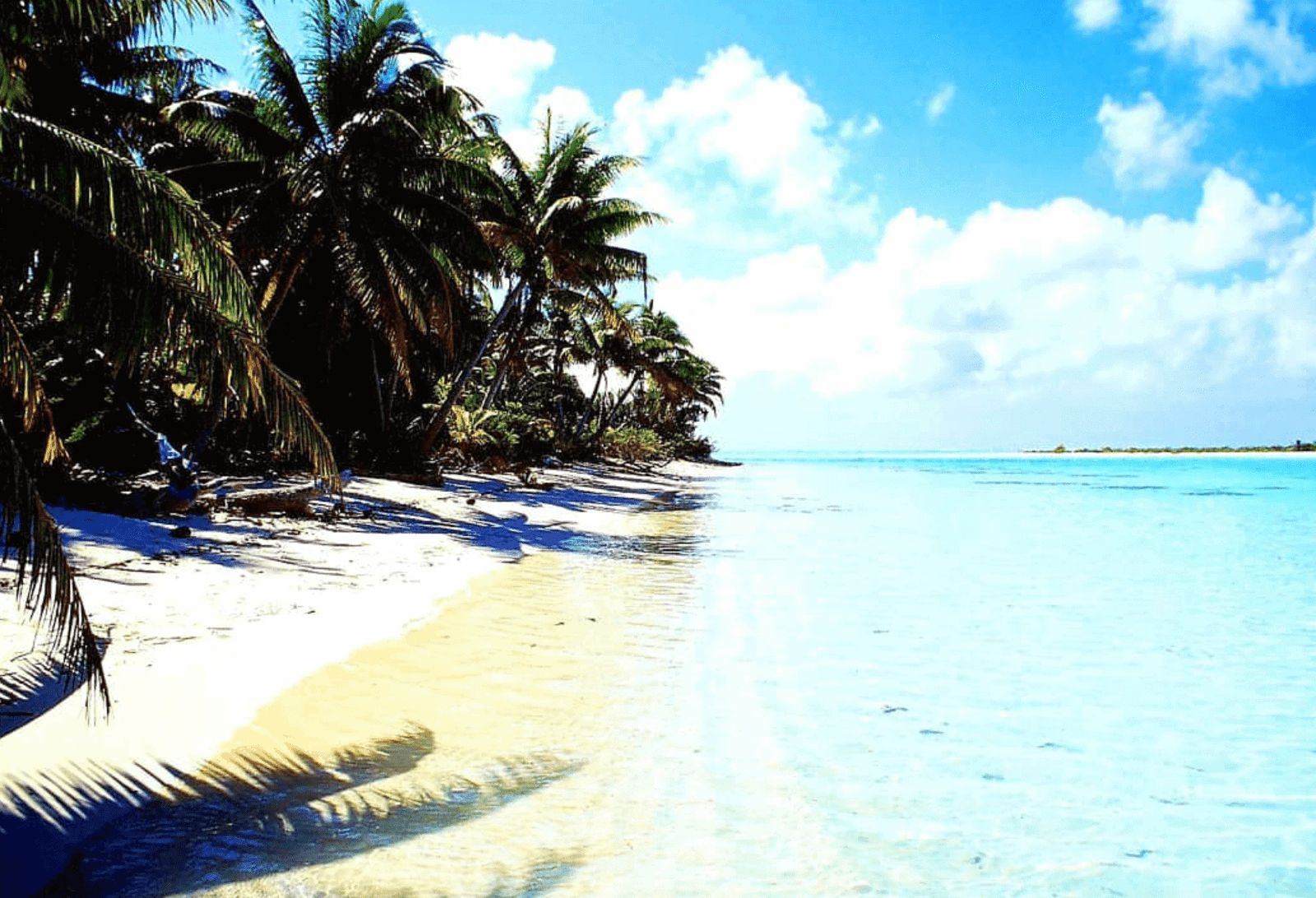 Motu One: All You Need To Know for 2026 (Society Islands) 3 Beaches of Motu one. Nothing than Palm trees right next to the ocean.