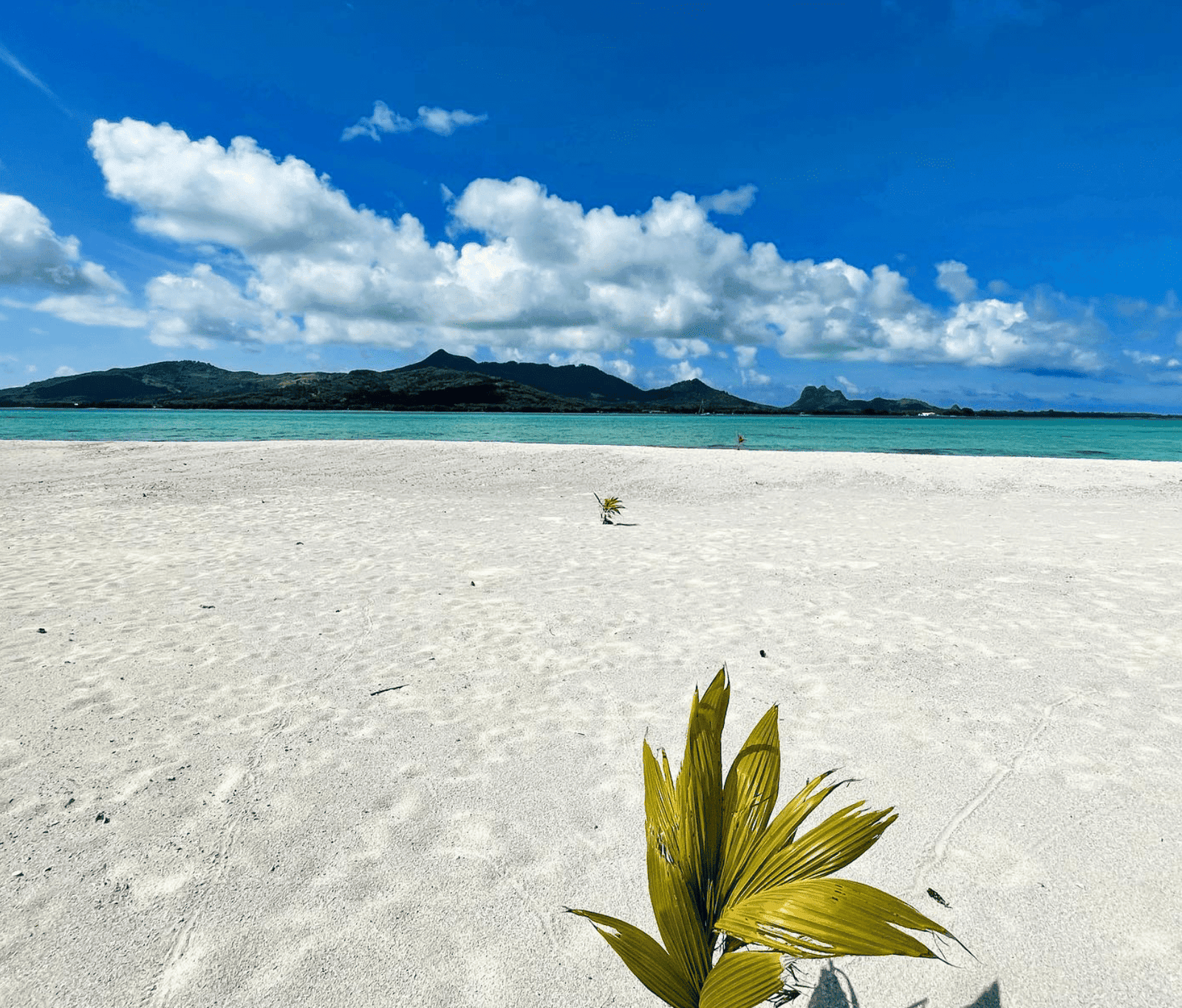 Motu One: All You Need To Know for 2026 (Society Islands) 4 Motu One beach with a view over Maupiti