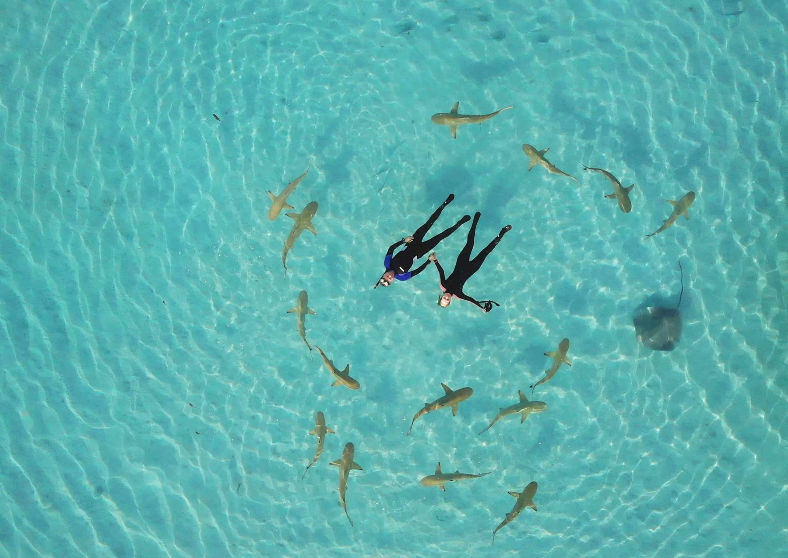 Diving in Moorea. The locations are highlighted in the Moorea French Polynesia map