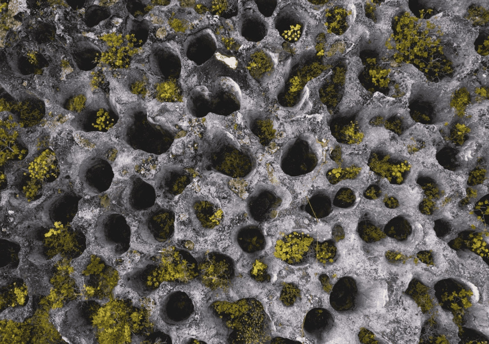 Phosphate holes 
