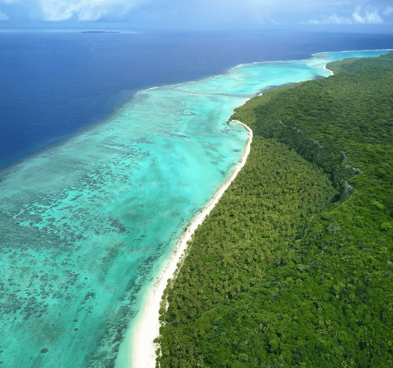 Makatea island with a beach with trees and blue water 
