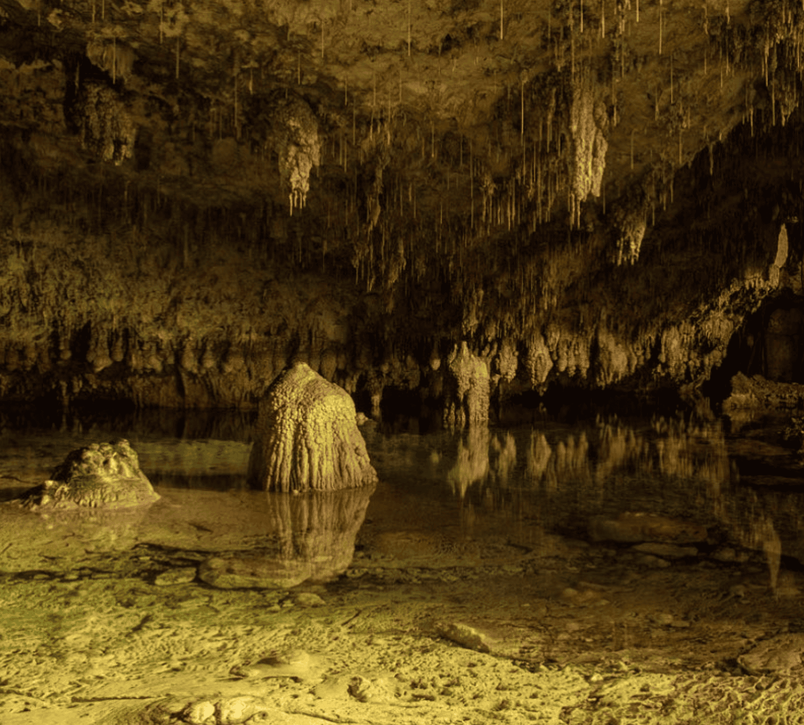 a cave with water and stalactites